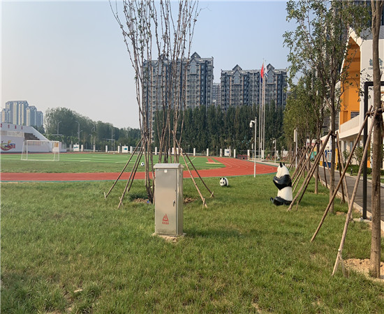 市政廣場綠化