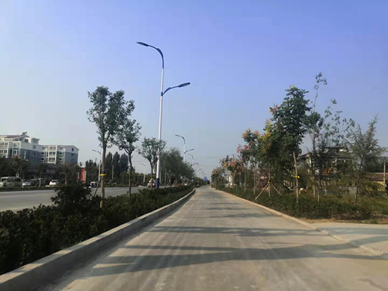 道路綠化效果
